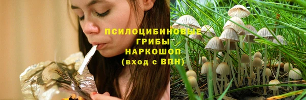 СК Алзамай