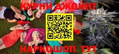гидропоника Гусь-Хрустальный