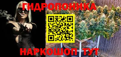 гидропоника Гусь-Хрустальный