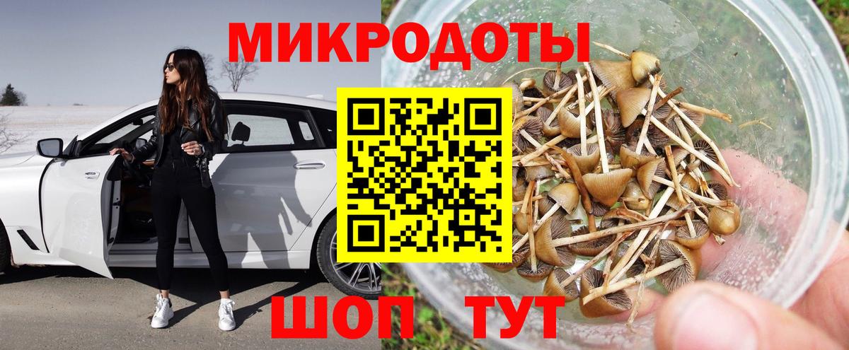 Галлюциногенные грибы Psilocybe  Галлюциногенные грибы GOLDEN TEACHER  Ишим  Вход с VPN 